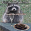 xXS0ULD00MXx
