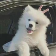 长安尽头无故里