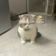 宇宙超级无敌暴龙战士