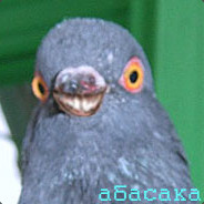 микро блек голуб