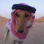 Avatar of Catcilia