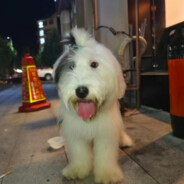 源儿数学课打瞌睡