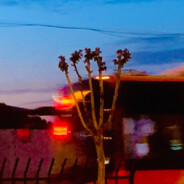 21世纪无敌马桶人