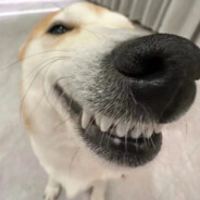 帝国の绝凶虎！