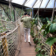 ⓅⒶⓉⒺⒺⓈⓏ