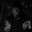 CygnuS_ do CS