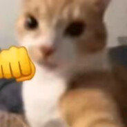 不是哥们别卡啊