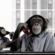 MONKEY_BUSINESS