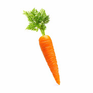 mr carrot