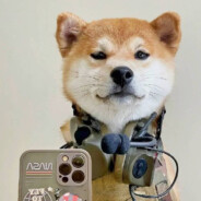 今天吃个大扒鸭