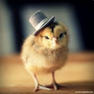 BlackBeard - steam id 76561198082882280