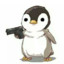 penguin8or