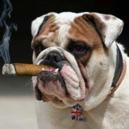 Eltoxicdog avatar