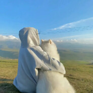 一只阿巴大宝呀咩龙