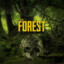 Superivago the forest acc