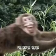 满山的猴子我腚最红