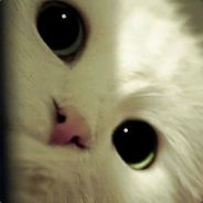 我不想拥有你，也不想