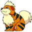 Growlithe