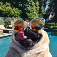 对面派我当卧底