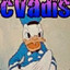 cvadis SKINS