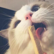 重生之亿万身价大佬竟