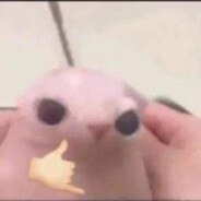 INSANIMARU