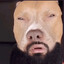 TheRealHobomatt