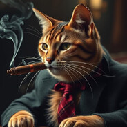 Mr. Meow avatar