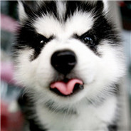 风风火火恍恍惚惚