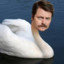 Swan Ronson