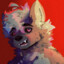 Jack The Yeenster