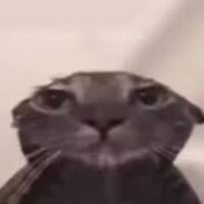 ☂