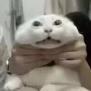 为我而死，岂不应当