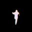 𝒏