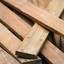 Plank wood