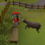 level 2 cow