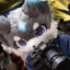 DogtorGear