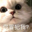 你还敢顶嘴？