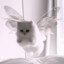 Flying Cat