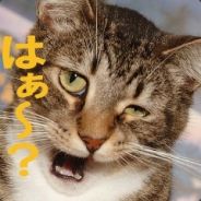 cartilage - steam id 76561197971007822