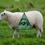 Mouton Illuminati