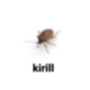kirill