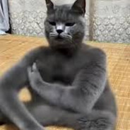 Доктор это опять