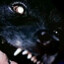lycan
