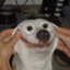 Pivosis9's avatar