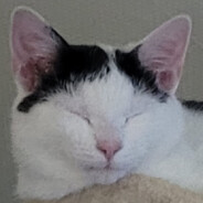 Akku Winkelschleifer