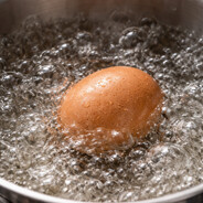 Mis Huevos Sabrosos