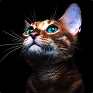 ❶☞Novat0r☜❶