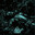 Zoons_Shadow