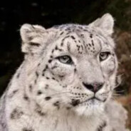 好好好你这么打是吧